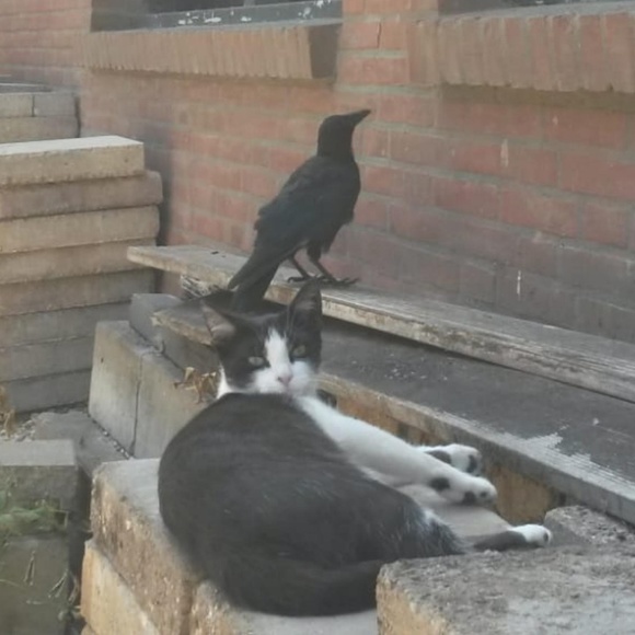 Meet your Posher, Melissa - Picture 9 of 11